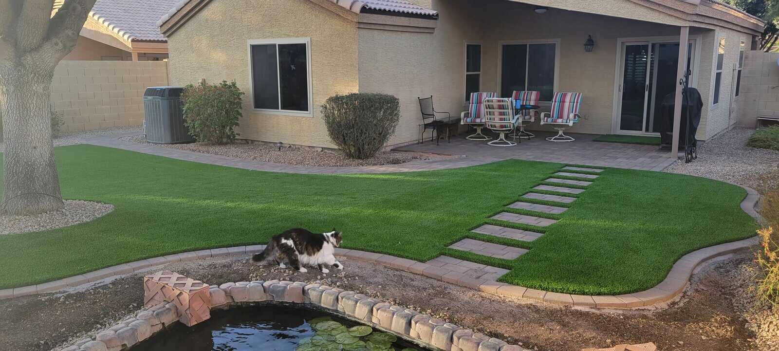 A black and white cat strolls along the edge of a backyard pond with lily pads. The yard, designed by Avondale Turf and Landscape, features artificial grass, a paved path, patio furniture, and a cozy single-story beige house.